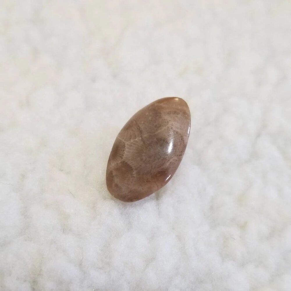Vintage Hand Crafted Oval Shaped Petoskey Stone Silver Tie Clip